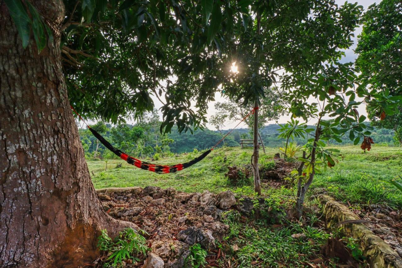 Ayu Hill Bungalows Toyapakeh Dış mekan fotoğraf